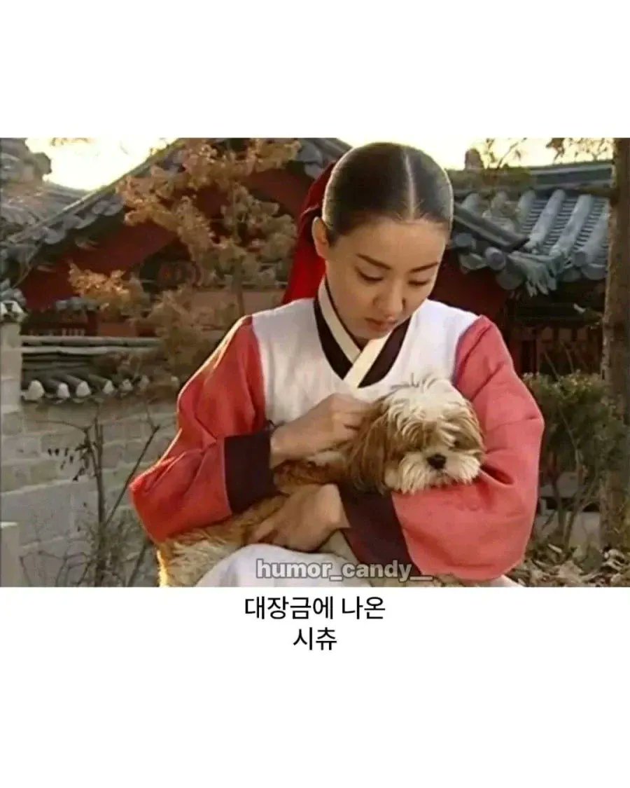 calmpeb's tweet photo. 조선시대에도 있었던 의외의 견종 https://t.co/gwHKjQ1CHe