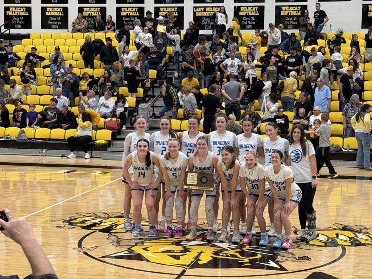 Halstead Dragons tweet media