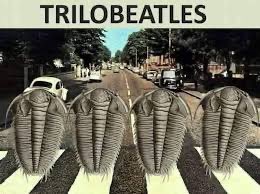 lambdac4 🧇 tweet media