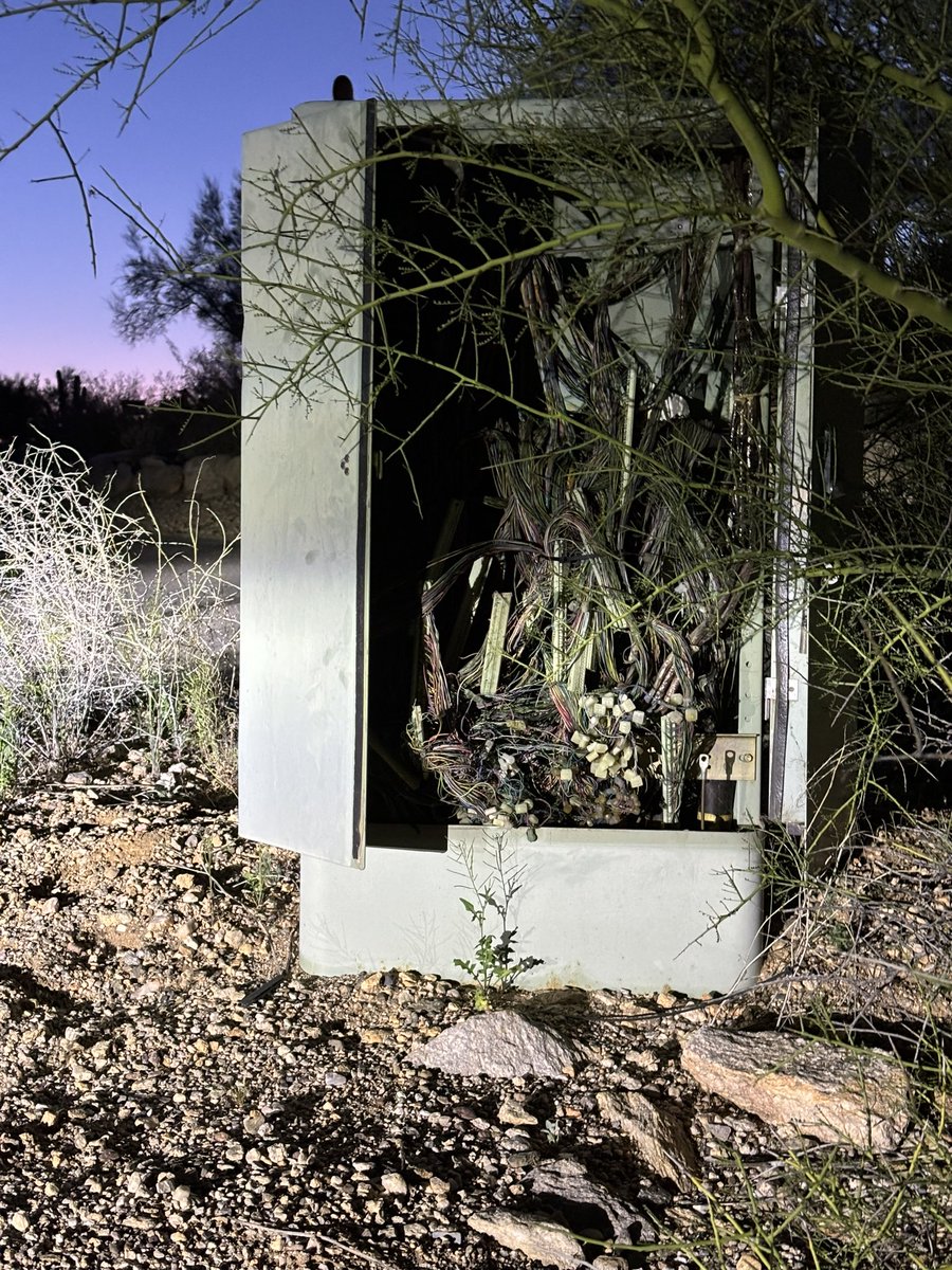 Michael Ruiz tweet media