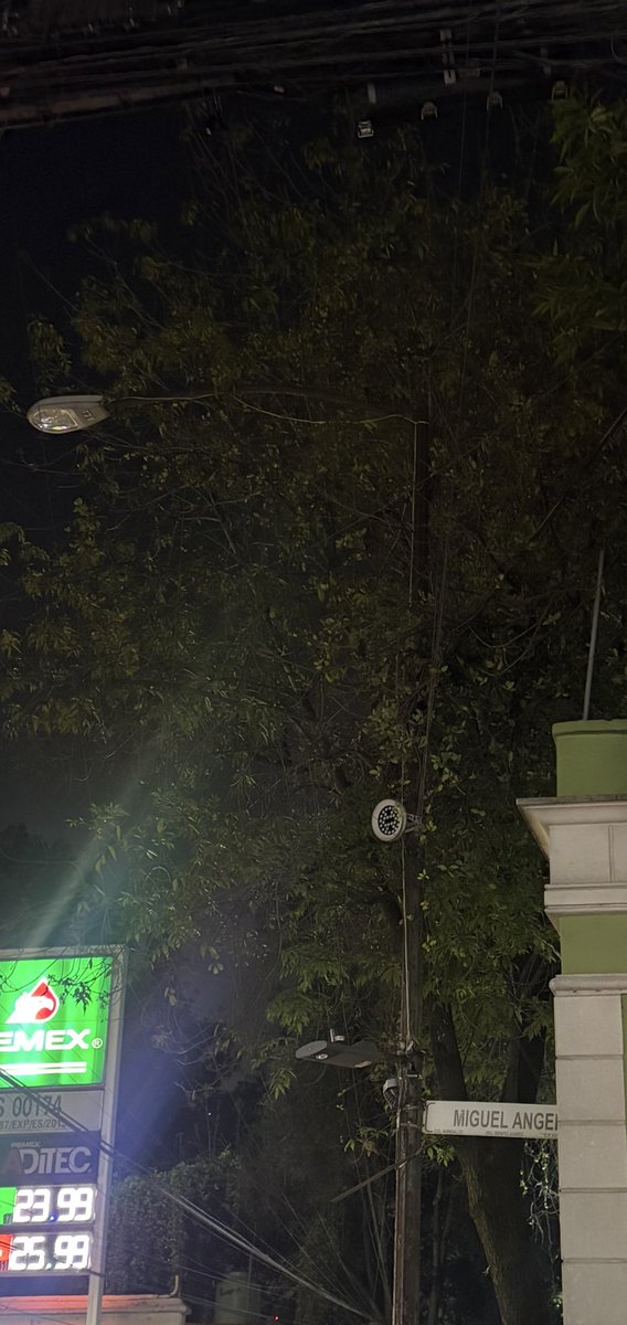 Reportandocdmx👀 tweet media