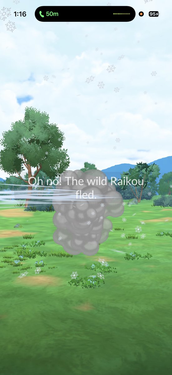 𝓶𝓼 𝓹𝓸GOBIRDS✿ tweet media