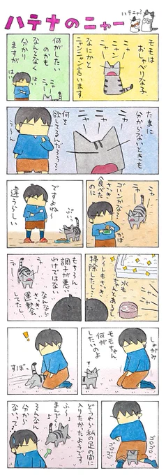 したいこと、したいけど。│フェリシモ猫部 https://t.co/PWjwiTMIHk 