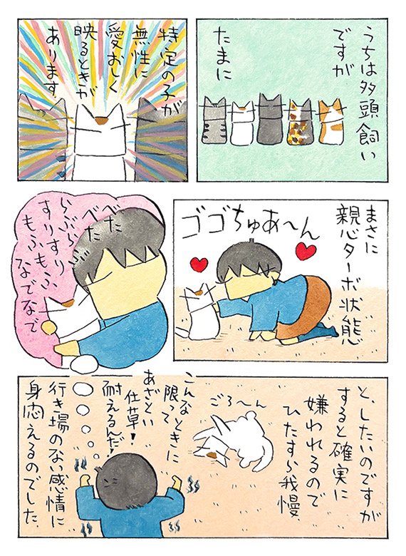 したいこと、したいけど。│フェリシモ猫部 https://t.co/PWjwiTMIHk 