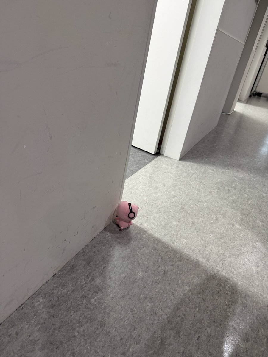 HOKUTOBOO36's tweet photo. こらぁ、ゴミ箱覗かないよー🐷 https://t.co/717VcQu2gP
