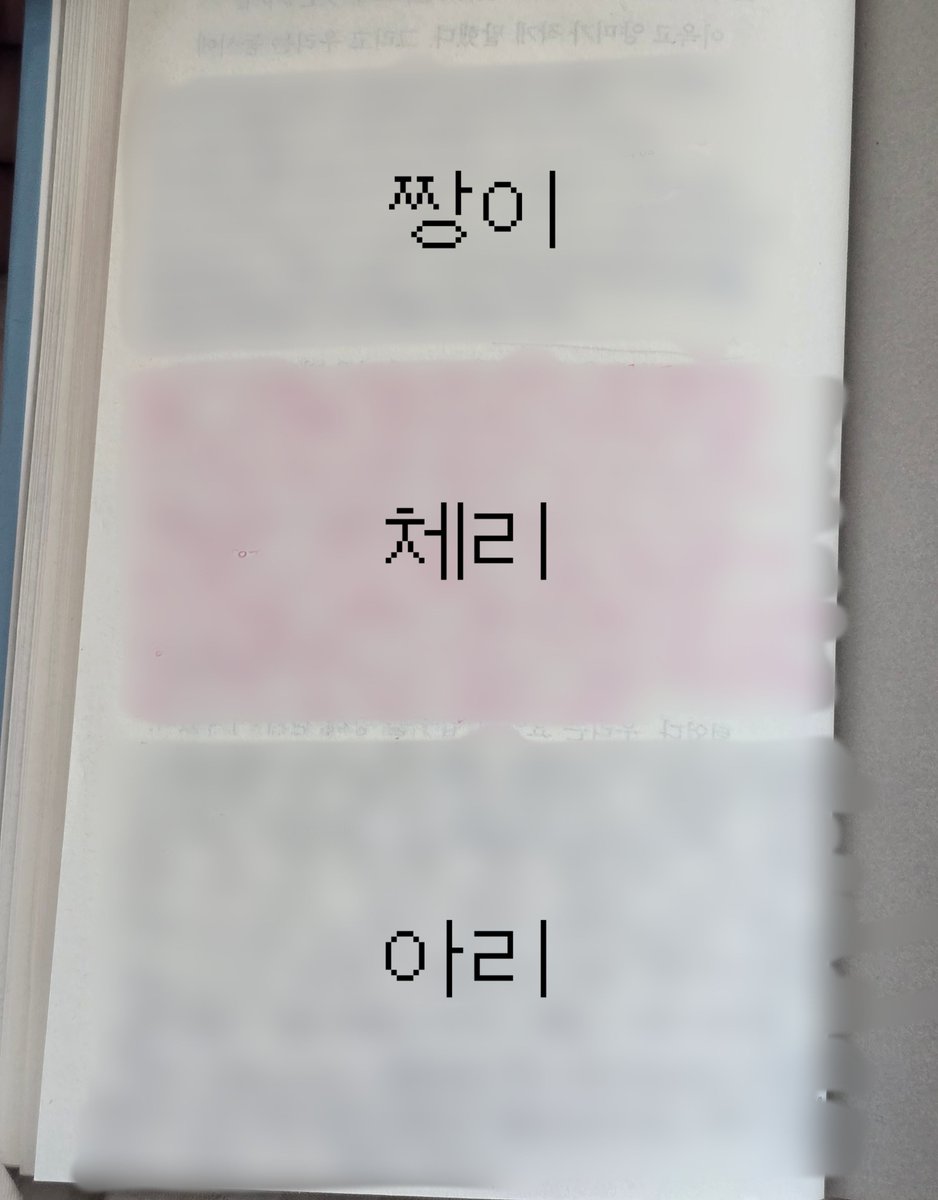 짱 tweet media