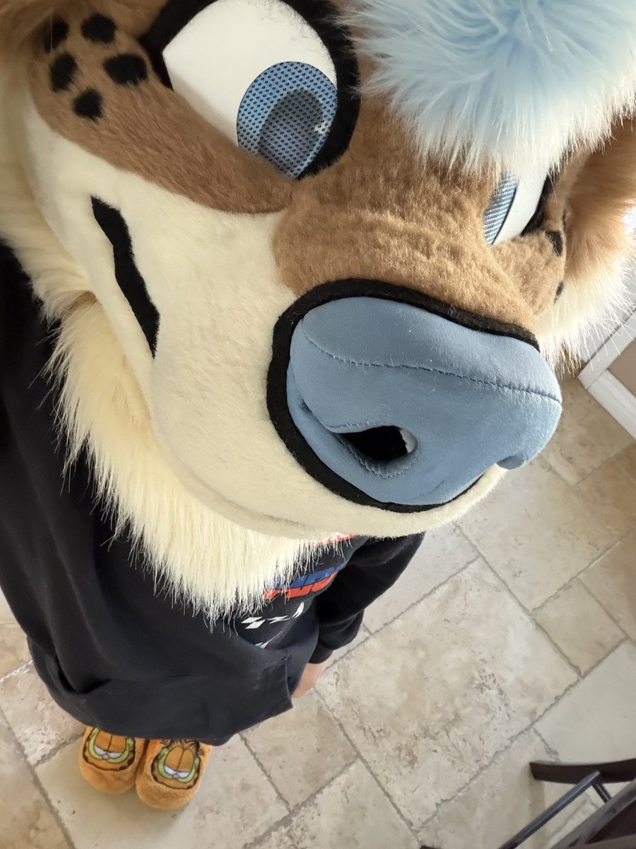 Rory➡️TFF, LVFC tweet media