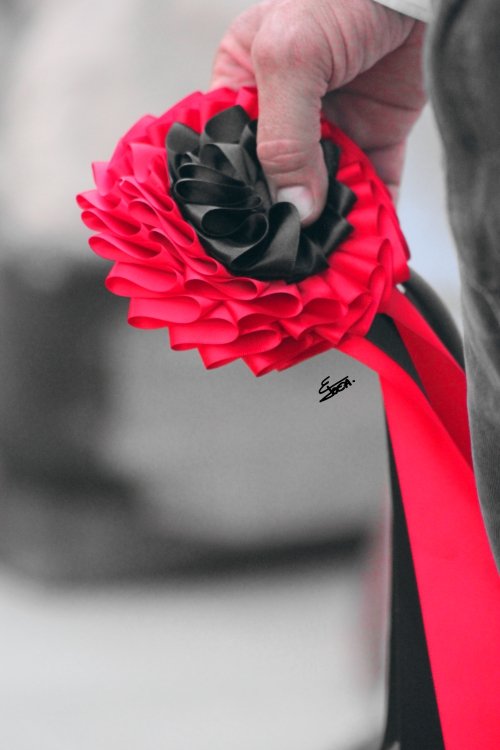 Mundo Toca tweet media