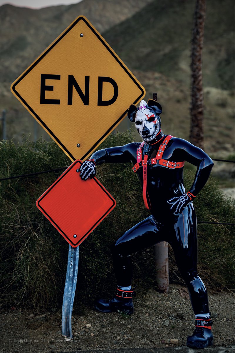 RUBBER BEAN ➡️ FE TORONTO tweet media