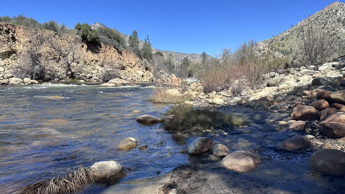 toddewiest's tweet photo. Another good day, and I even caught fish again - 3 to net and 1 long distance release ๐
#simmsfishing #troutfishing #troutbum #flyfishing #echofishing @troutbitten https://t.co/Pp69XXfHj1