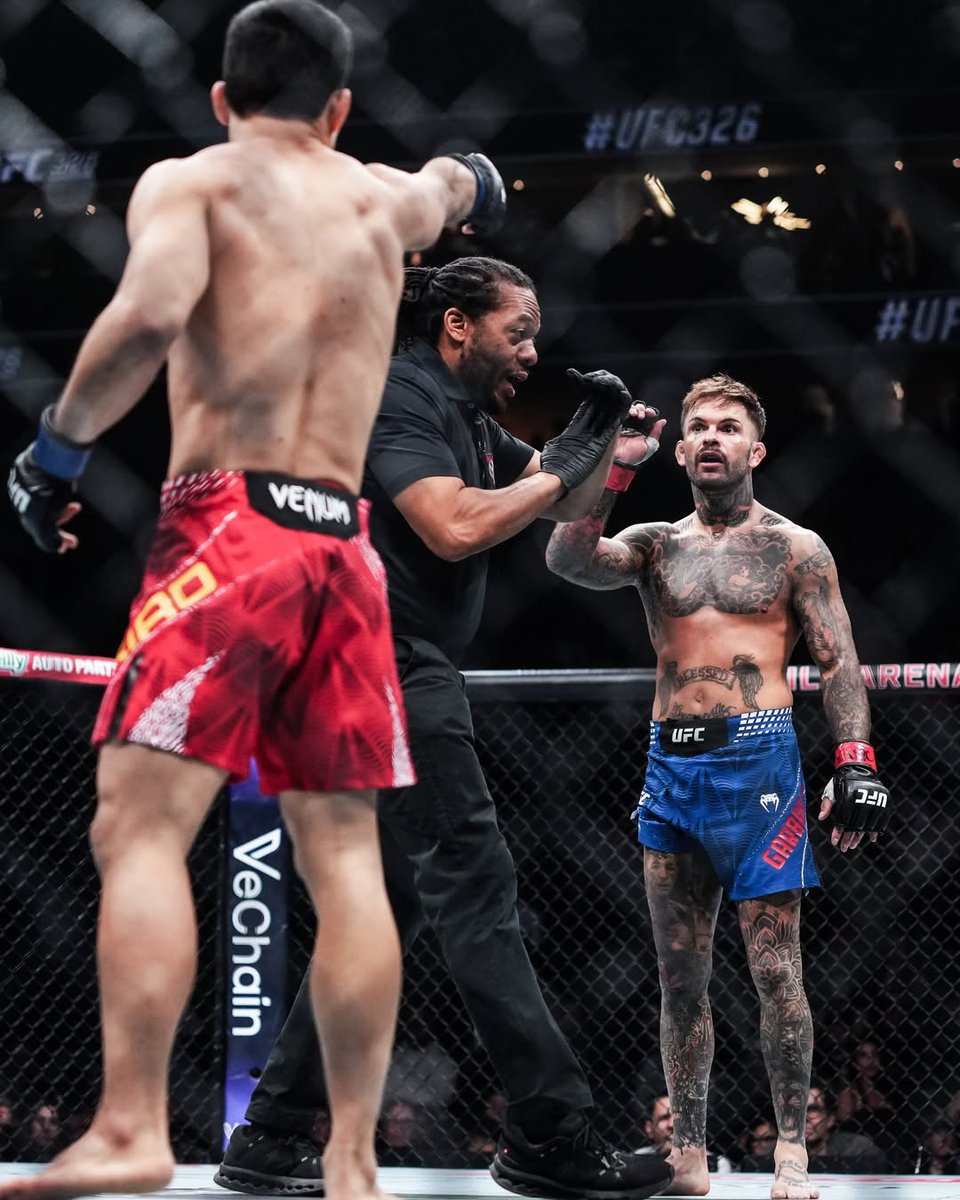 Fight Digitale tweet media