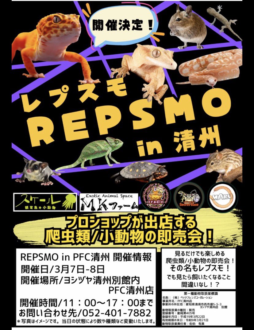 BALL/👁\MASON tweet media