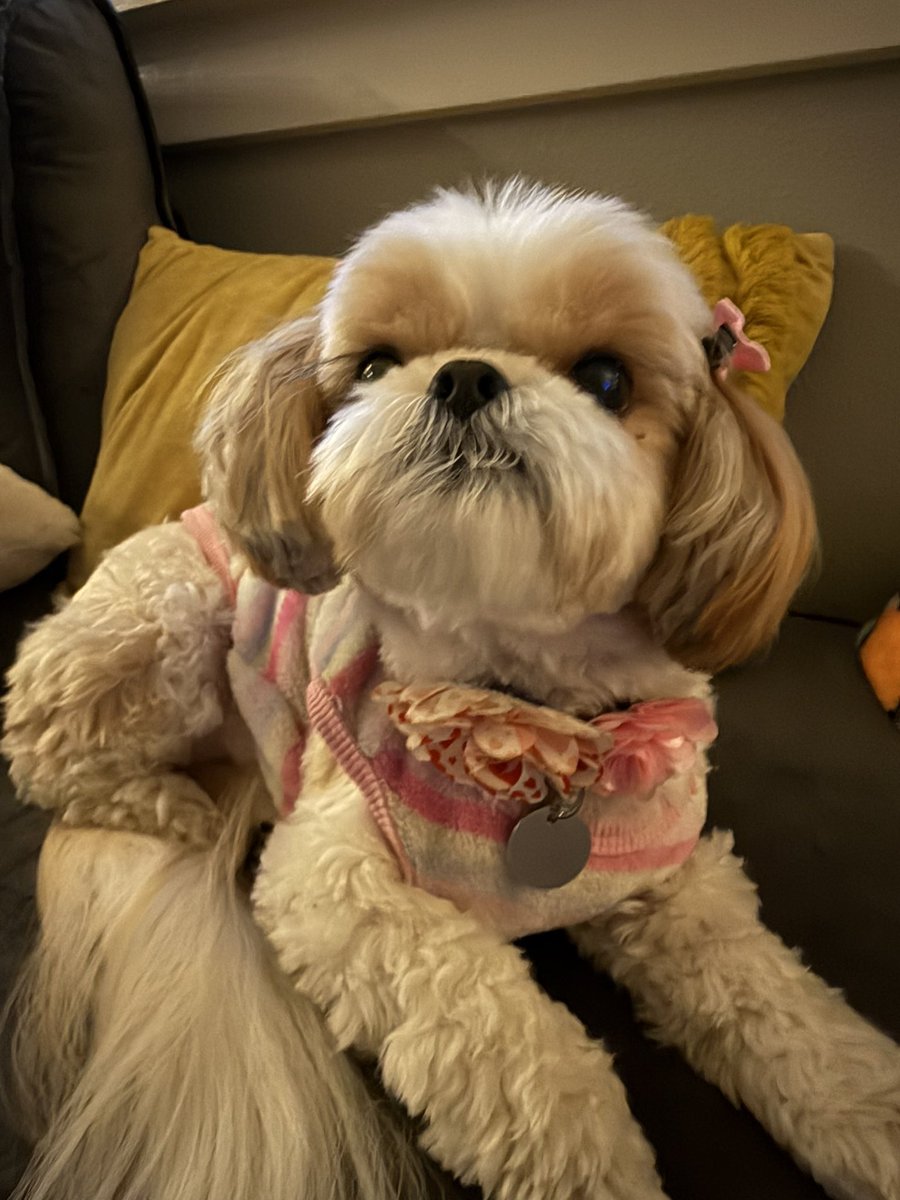 GarciaMargie tweet media