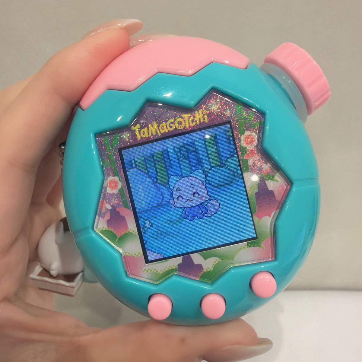 伊達。 tweet media