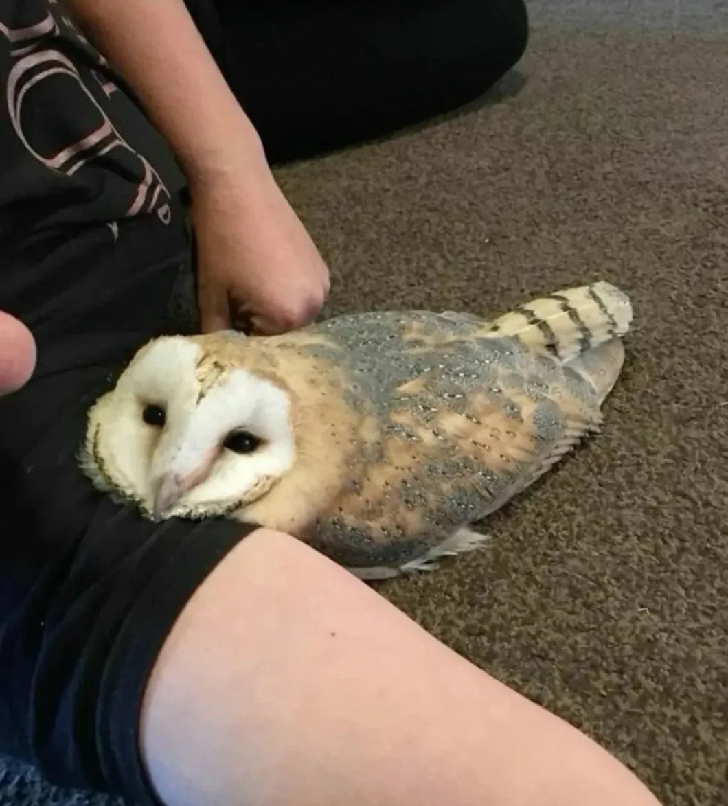 Whatever man lays on you