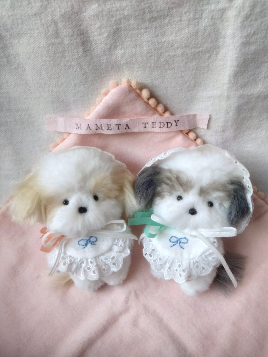 シーズーの赤ちゃん👶🍼
mametatata.base.shop