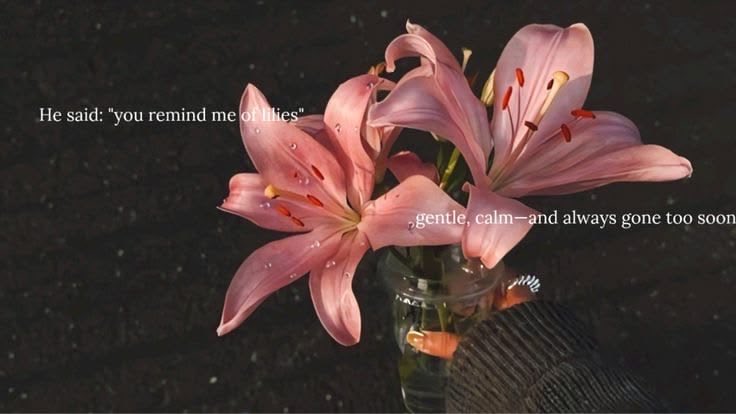 луна tweet media