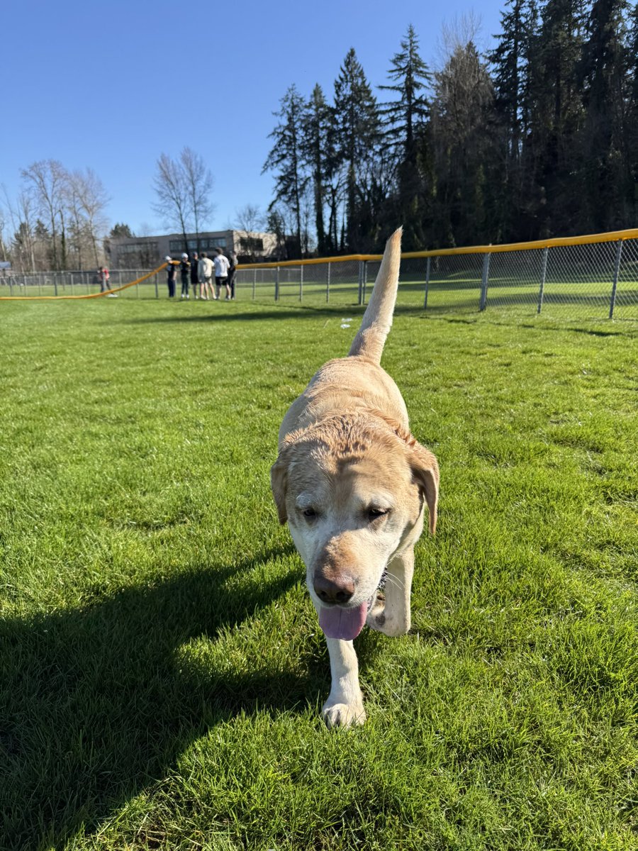 Max Price tweet media