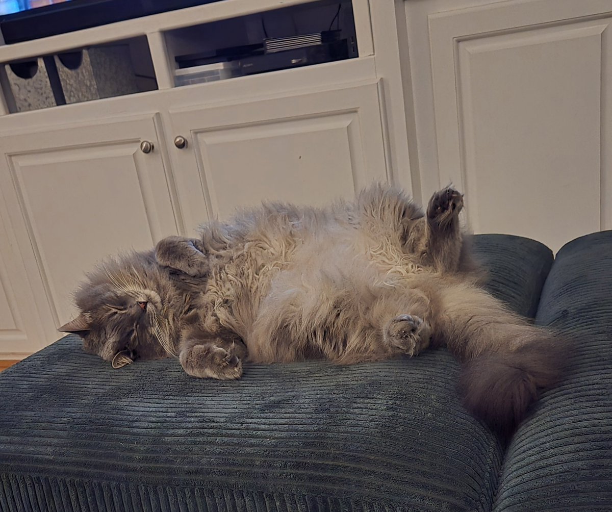 Brittany Bierman tweet media