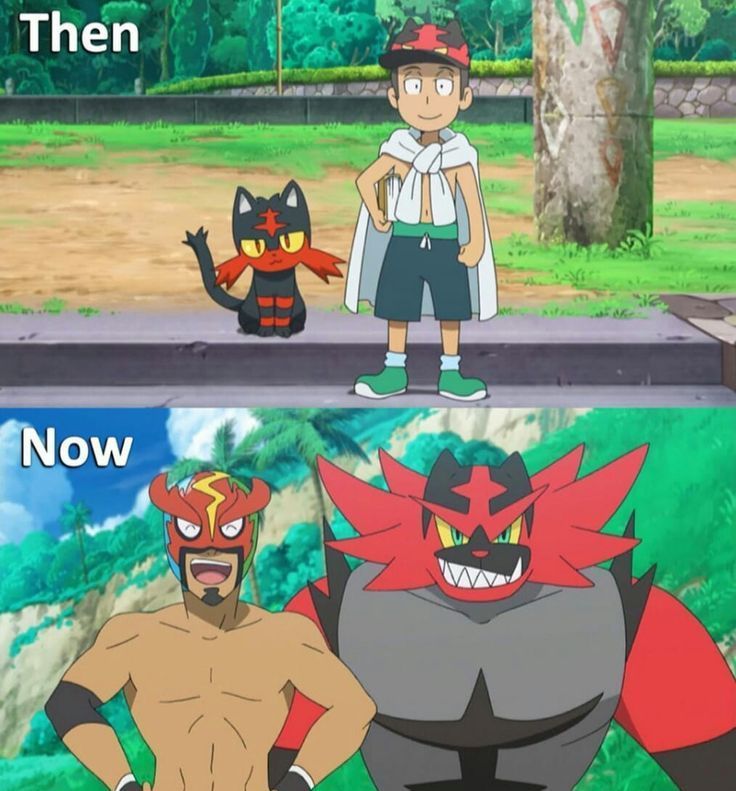 Pokémon Posts tweet media