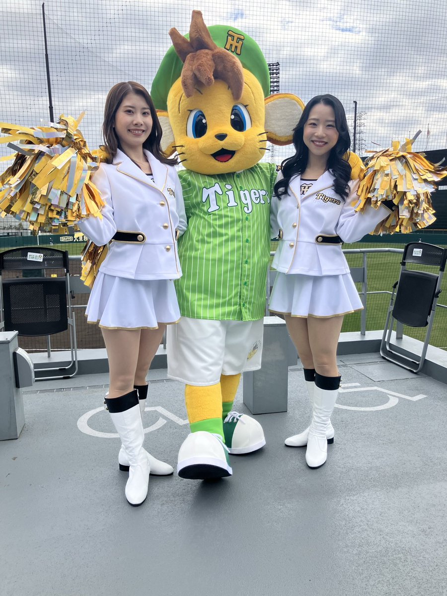 今日のタイガースガールズはKanaとYukaです！ コラッキーと一緒に球場