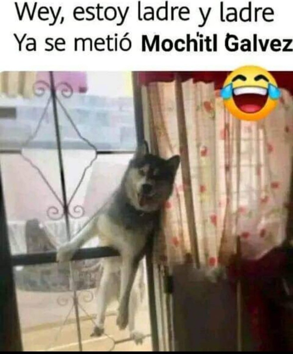 RosaveliaSalaz7's tweet photo. Jajajaja https://t.co/Z0fM9sOxk8