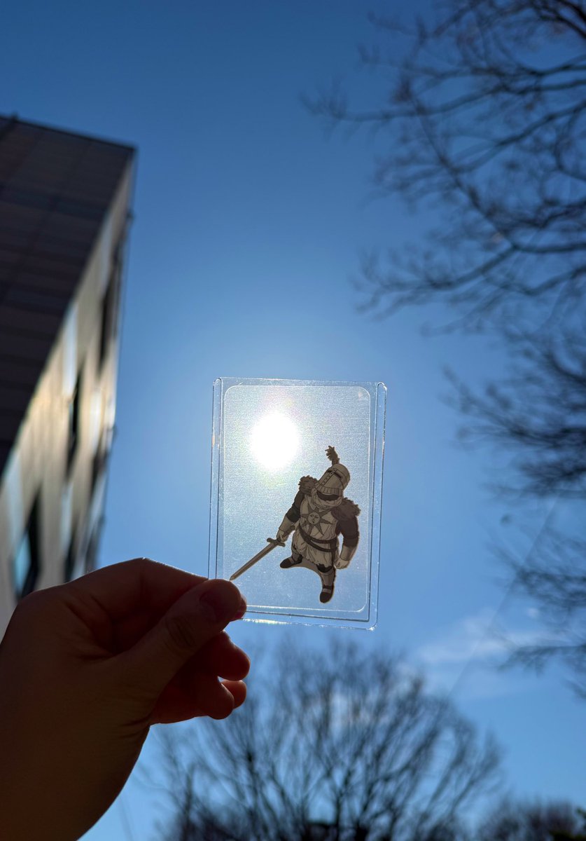 NANJ1N's tweet image. 솔라 포카 마음에 드네요☀️

#darksouls #solaire