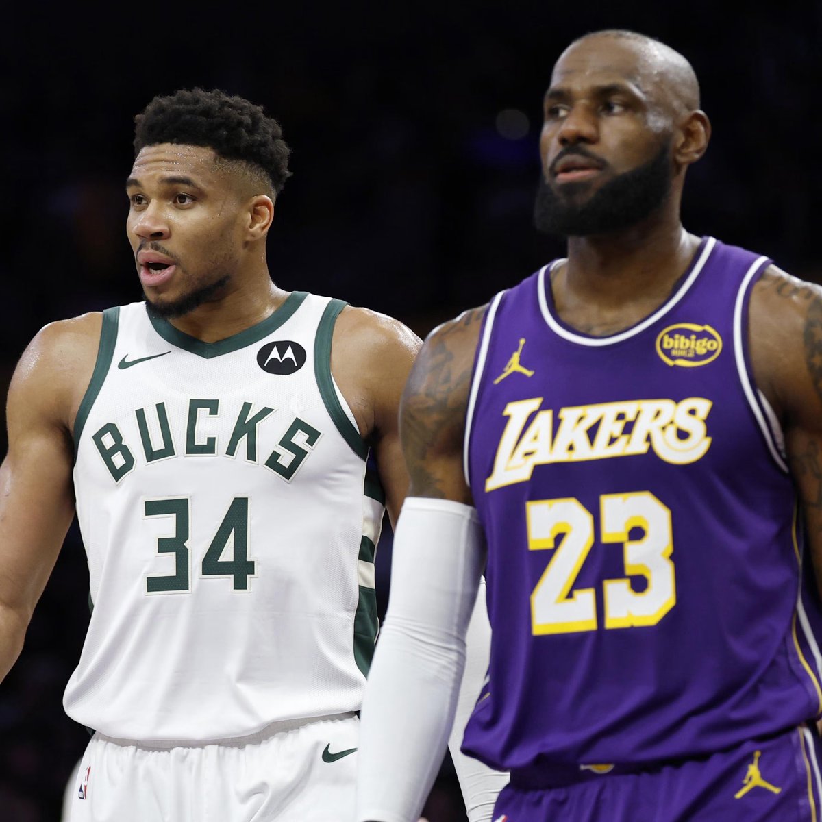 Legion Hoops tweet media