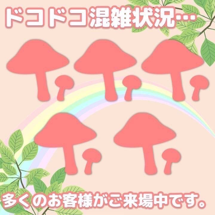3月8日(日)11:35現在

すぐにご案内可能です✨
お得な2時間パック販売中🫶

今日は風が強いですね🌥️
ドコドコは快適に遊べるよ！
みんなで思いっきり体を動かそう🍄

ご来島お待ちしております🏝️