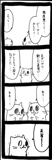 ドワーフキャットタオルちゃん36 