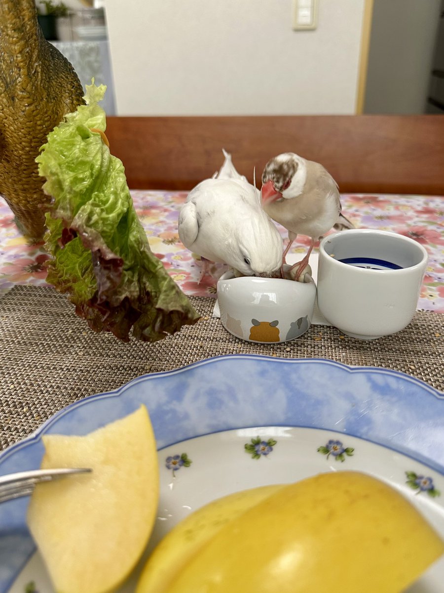 Jasmine fragrance tweet media