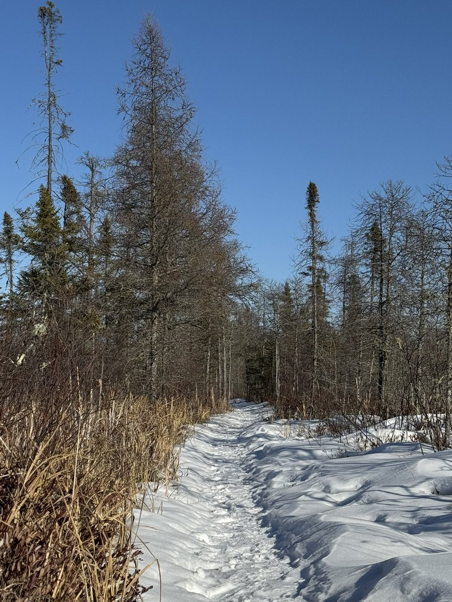 Frog Island Photography tweet media