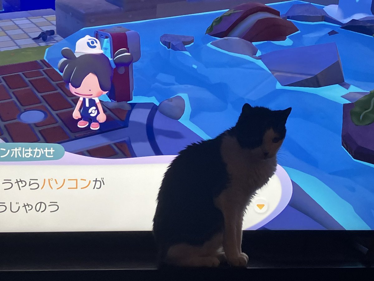 blair (abolishun type) tweet media