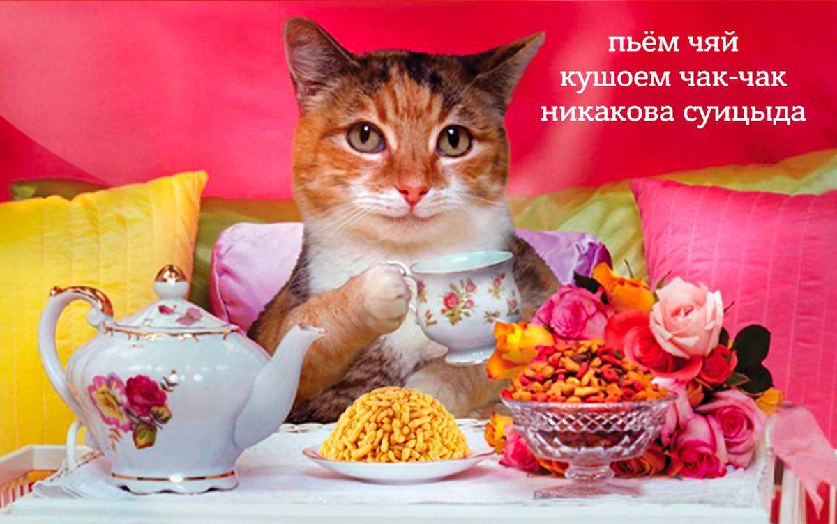 chemicalwizard9's tweet photo. @alien_vasya @derebasia https://t.co/haQB4bTKcn