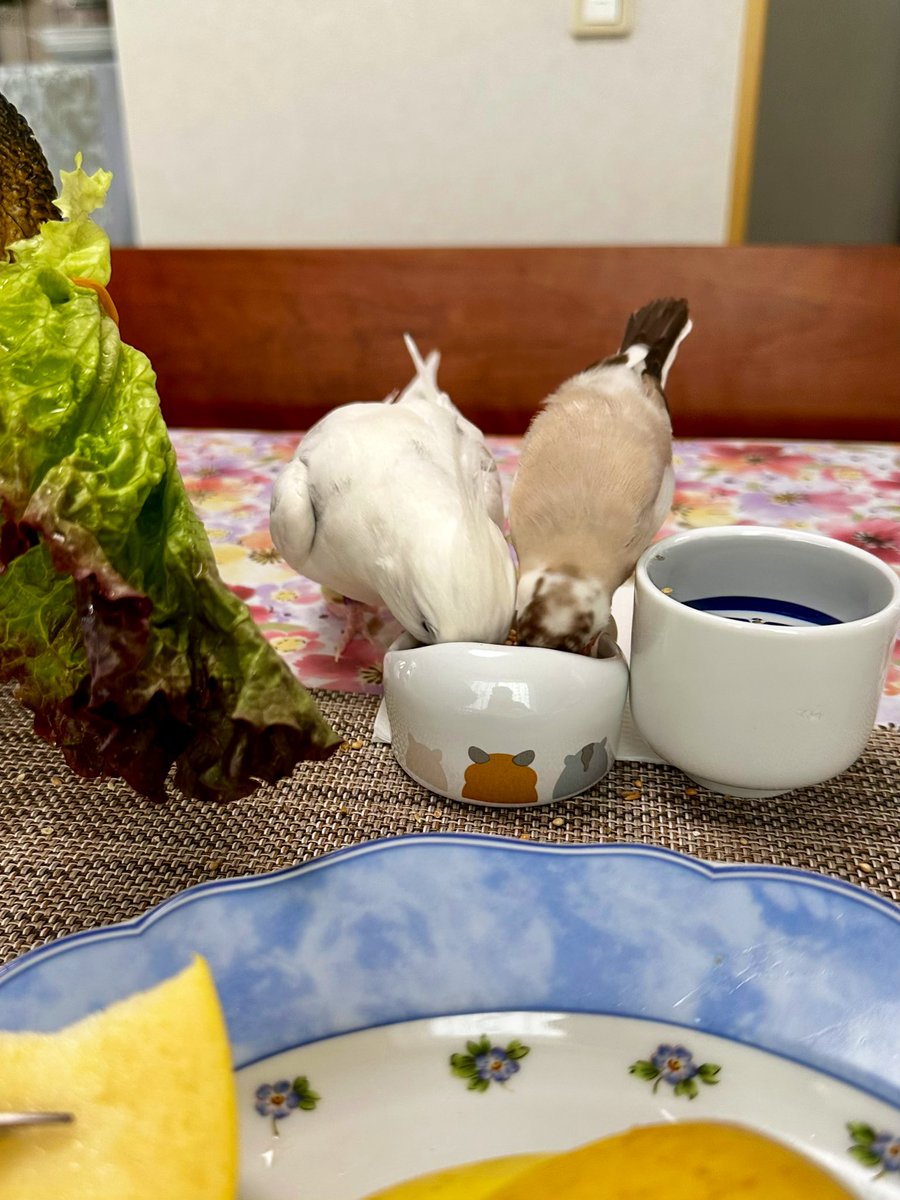 Jasmine fragrance tweet media