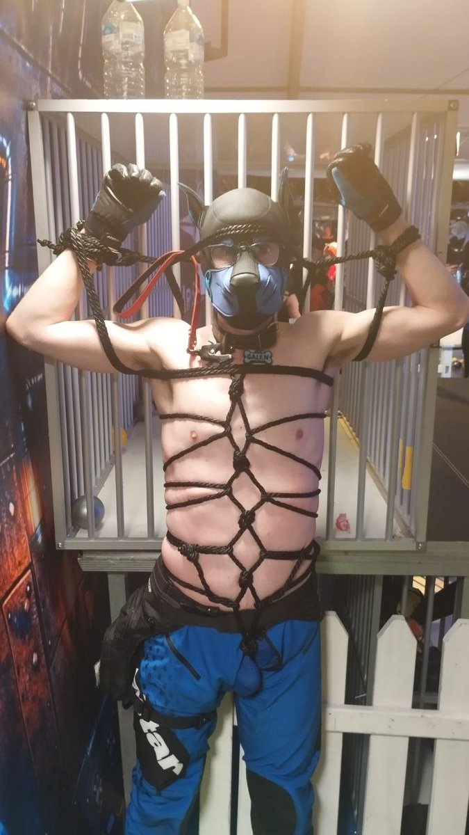 PupGalen@bsky.social🔜FK, FWA, Glow, EF, AC, Mplx tweet media