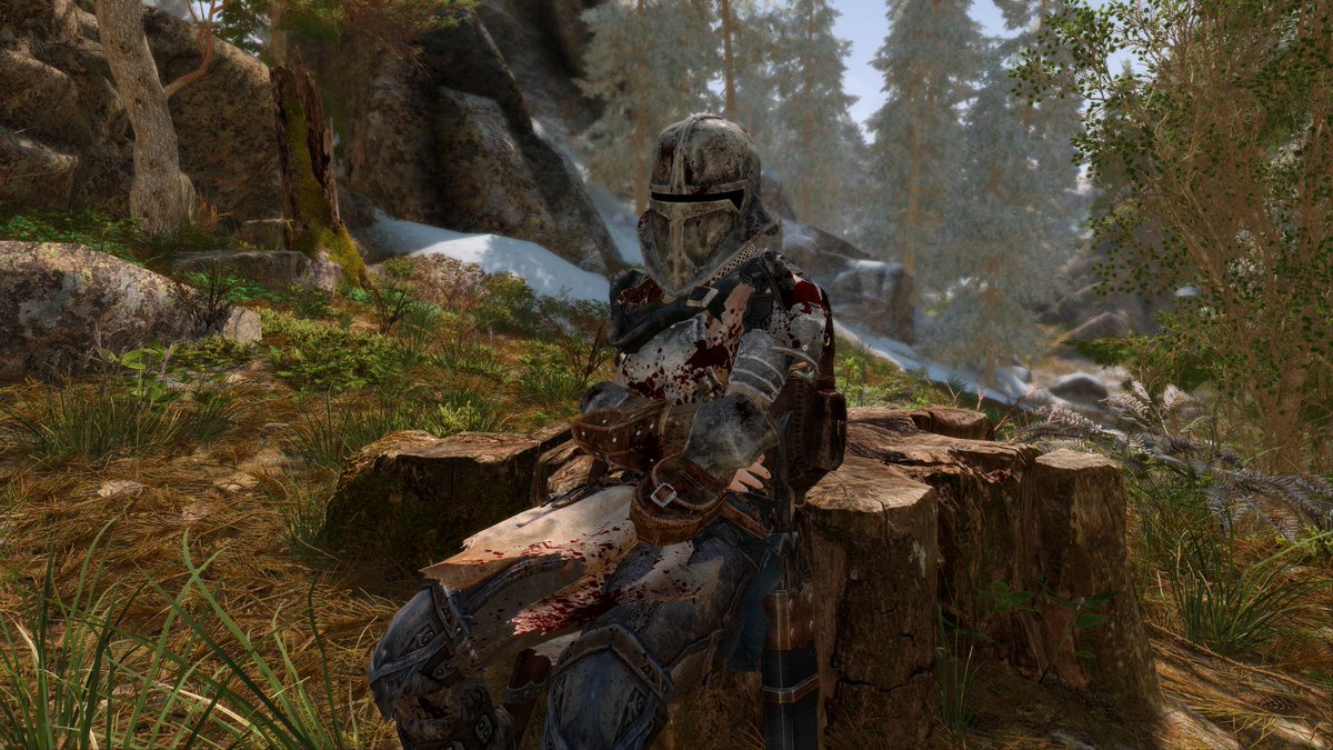 最近入れたMODで個人的に必須になったMOD
Inertia - Physical Movement Response System - SKSE
nexusmods.com/skyrimspeciale…

#SkyrimAE #スカイリムAE #画像は本文と関係ありません