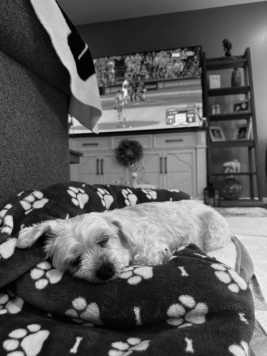 Kelly✨ tweet media