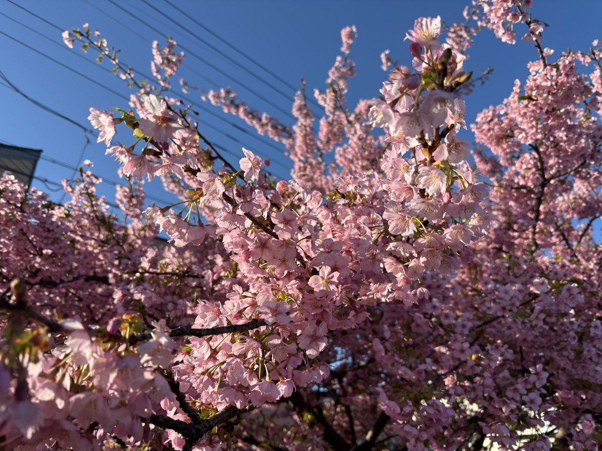 ZZy（じーじい） tweet media