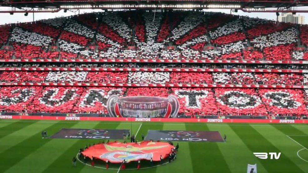 plusbenfica's tweet photo. É dia de Benfica! ❤️ https://t.co/ytcrHiu756