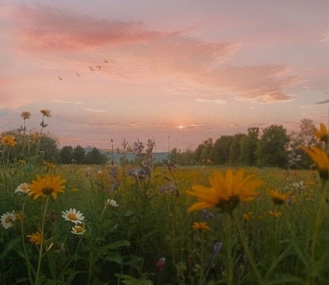 Knowledge is a paradox tweet media