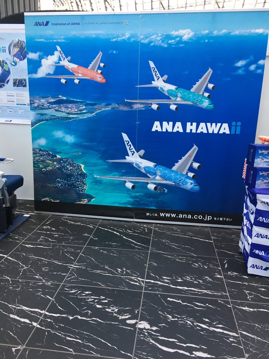 sicgrrl's tweet photo. #HIS大感謝祭
#ANAHAWAII https://t.co/Ku6fXup3x4