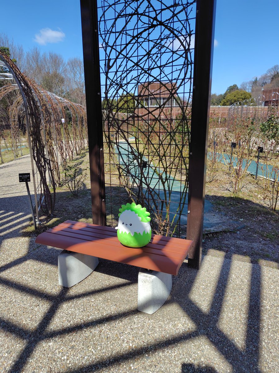 まひるの tweet media