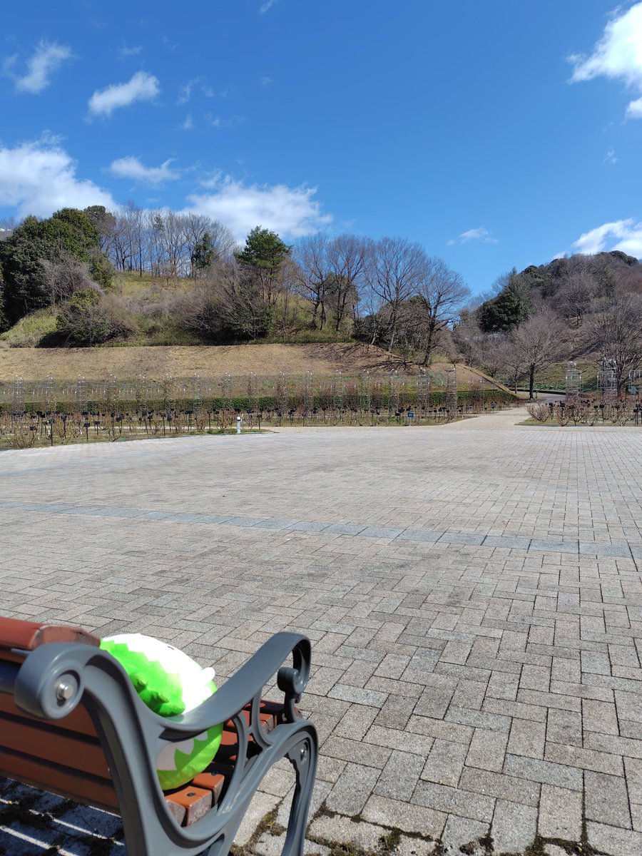 まひるの tweet media