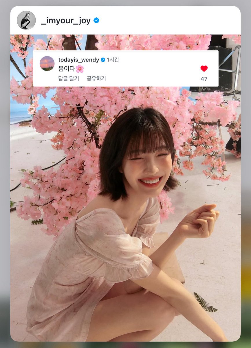 암욜조이 인스타에 웬디 댓글 

봄이다🌸
