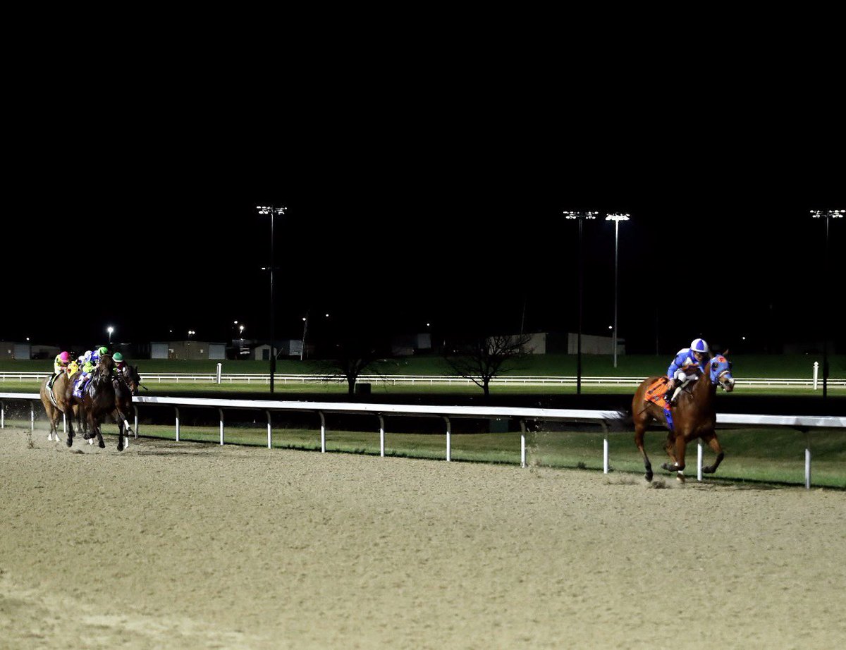 HorseRacingKK's tweet photo. Congratulations to the connections of Joe Shiesty, who dominated tonight’s $125,000 Big Daddy Stakes at @TurfwayPark https://t.co/ktFz0GsPEH