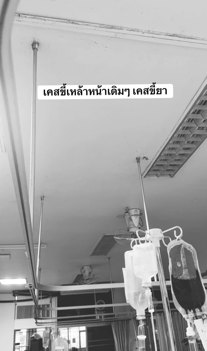 ฮ.นกฮูก(สีส้ม) tweet media