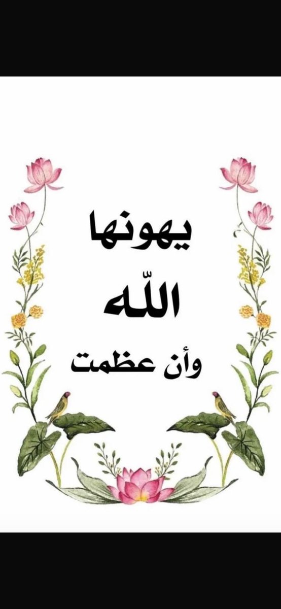 omhamooshy's tweet photo. https://t.co/eVjlq5dsZu