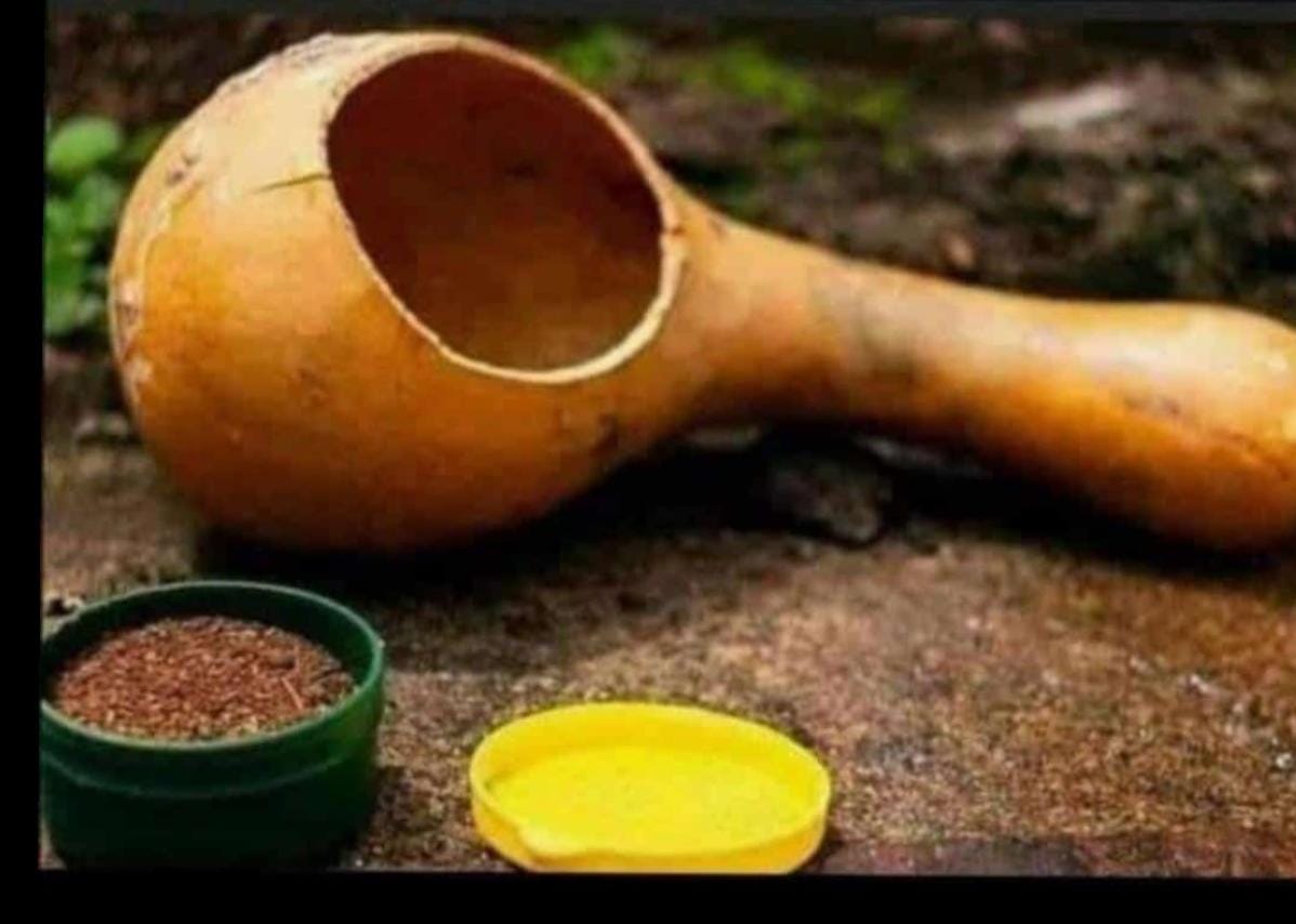 🇿🇦Zwidenya tweet media