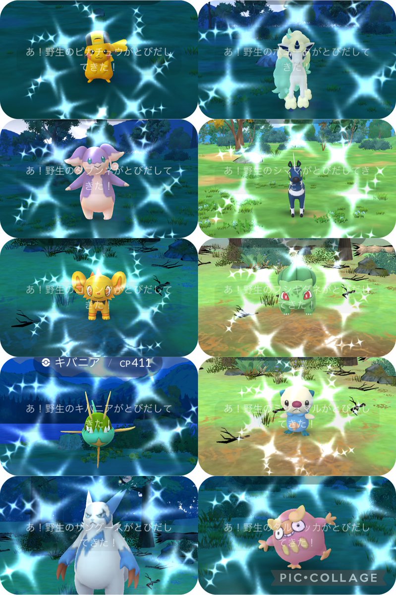 あらあら@低浮上 tweet media